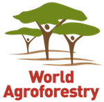 CIFOR-ICRAF Logo